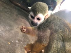 -西安秦岭野生动物园