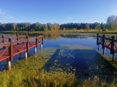 -塞罕坝国家级自然保护区