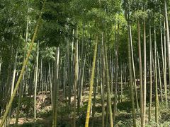 -安吉龙王山峡谷漂流