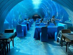 -涛·海底餐厅·美人鱼·自助餐·海底隧道(三亚海棠湾洲际度假酒店)