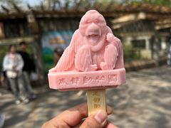 -成都动物园