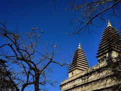 -北京石刻艺术博物馆(五塔寺)