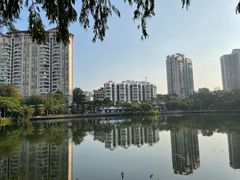 -四海公园(南山区)