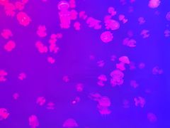 -福州罗源湾海洋世界旅游区