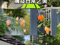 -杭州观成实验学校