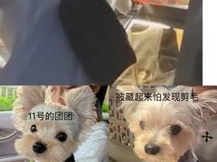 -仙都辣酱鸭(总店)
