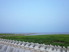 -南汇嘴观海公园