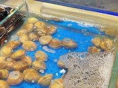 -加餐海鲜自助(宝龙一城店)