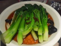 白灼菌菇菜心-新白鹿餐厅(金鹰新街口店)