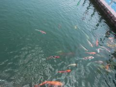 -云和湖仙宫景区