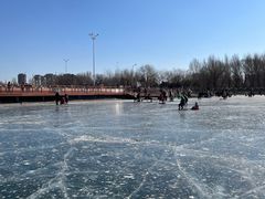 -丁香湖公园
