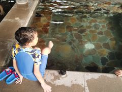 -中家鑫园温泉酒店鑫悦汤泉