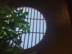 -花悦豆香