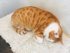 -小时光咖啡馆(北锣鼓巷店)