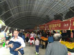 -秀丽东方