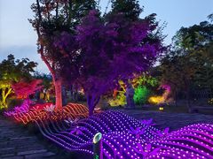 -茅山东方盐湖城景区