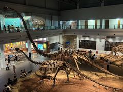 -自贡恐龙博物馆