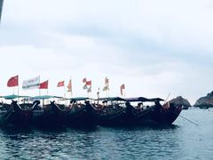 -枸杞岛