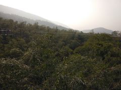 -陶祖圣境风景区