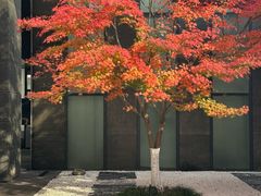 -苏州现代传媒广场商业