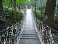 -西湖风景区十里琅珰-五云山