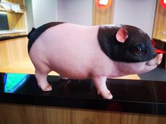 -猪角·闽南猪脚饭(文三路店)