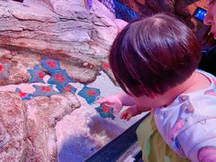 -沈阳海洋探索中心