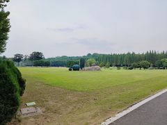 -宜兴龙背山森林公园