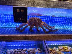 -鸽子侯·家宴·平价海鲜(绿地店)