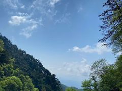 -万达广场(泰安泰山店)