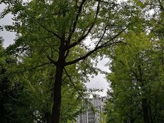 -苏州河梦清园环保主题公园