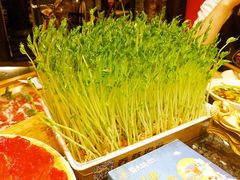 -蜀大侠火锅(四川北路店)