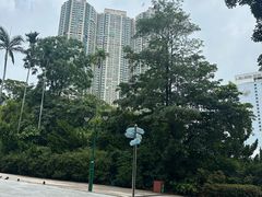-九龙公园