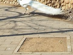 -石家庄市动物园