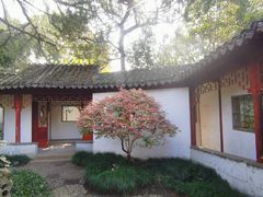 -秋霞圃