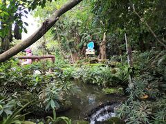 -绿光森林餐厅