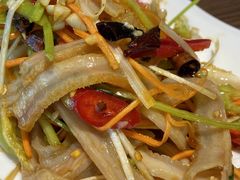 红油肚丝-老奉天马家烧麦(三台子店)