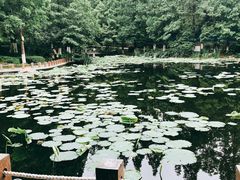 -玲珑塔公园