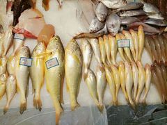 -华兴大酒楼(亿宝大厦店)