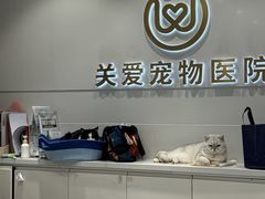 -关爱宠物医院·猫科中心·消化科(滨湖万达分院)