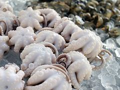 -铭聚章鱼土笋冻(松柏店)