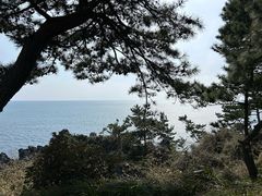 -柱状节理带