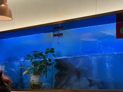 -老板恋上鱼(印象城店)