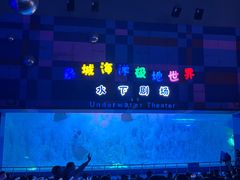 -泉城欧乐堡海洋极地世界