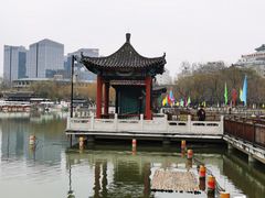 -莲花池公园