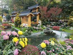 -惠山古镇·寄畅园