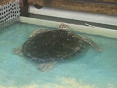 -嘉兴海底世界