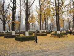 -两江幸福广场