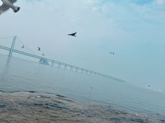 -星海广场