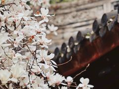 -龙华寺